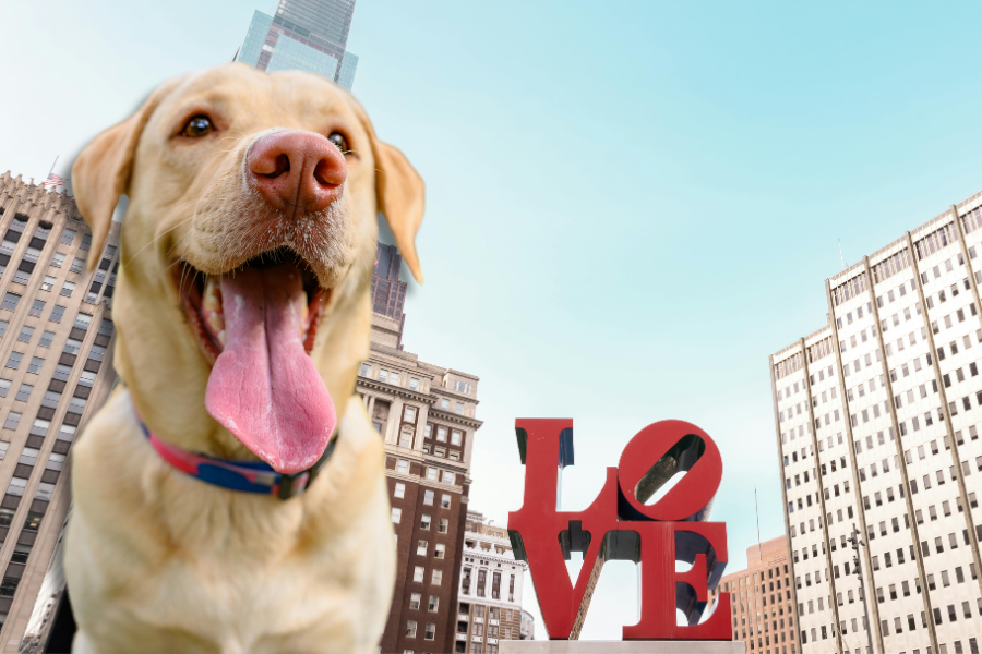 Get an ESA Letter in Philadelphia with American Service Pets