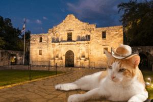 Get an ESA Letter in San Antonio with American Service Pets