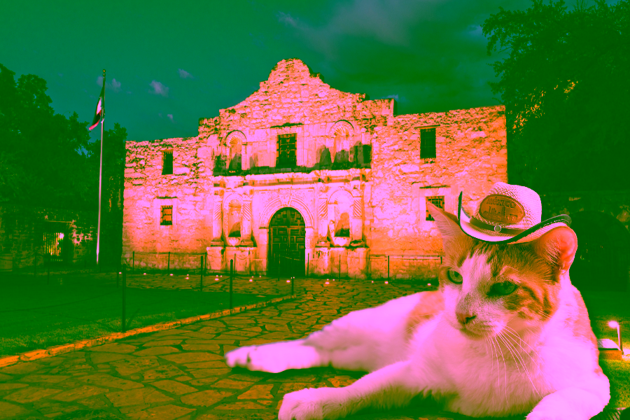 Get an ESA Letter in San Antonio with American Service Pets