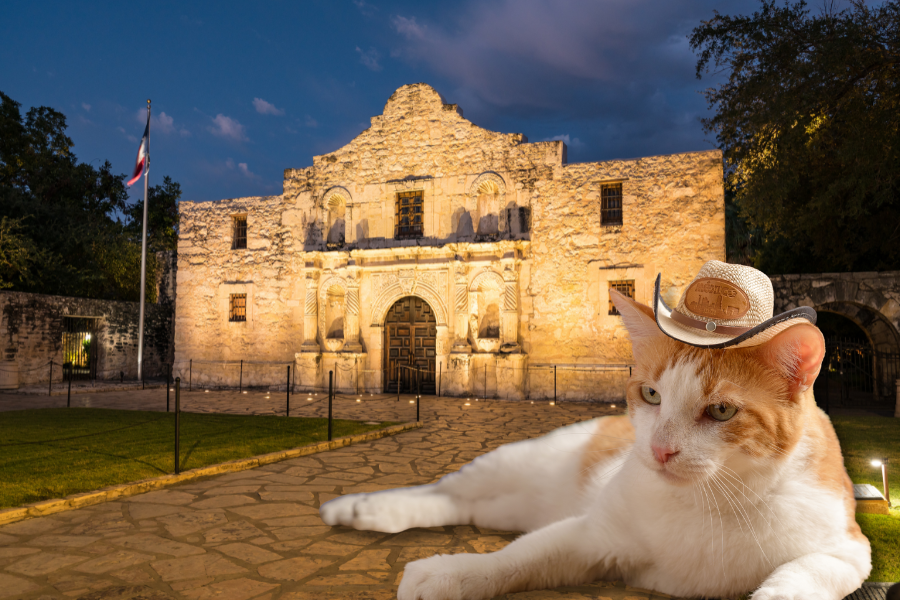 Get an ESA Letter in San Antonio with American Service Pets