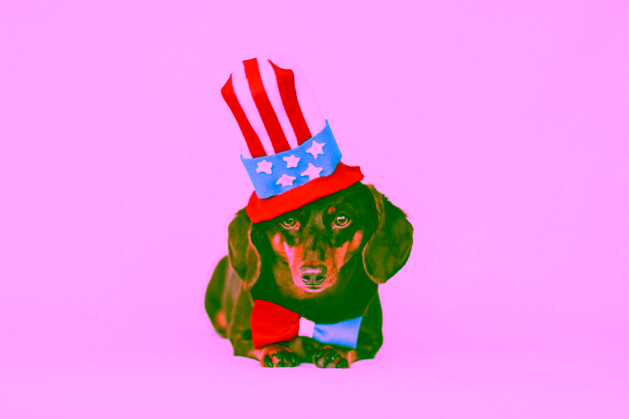 Get an ESA Letter in Washington D.C. with American Service Pets
