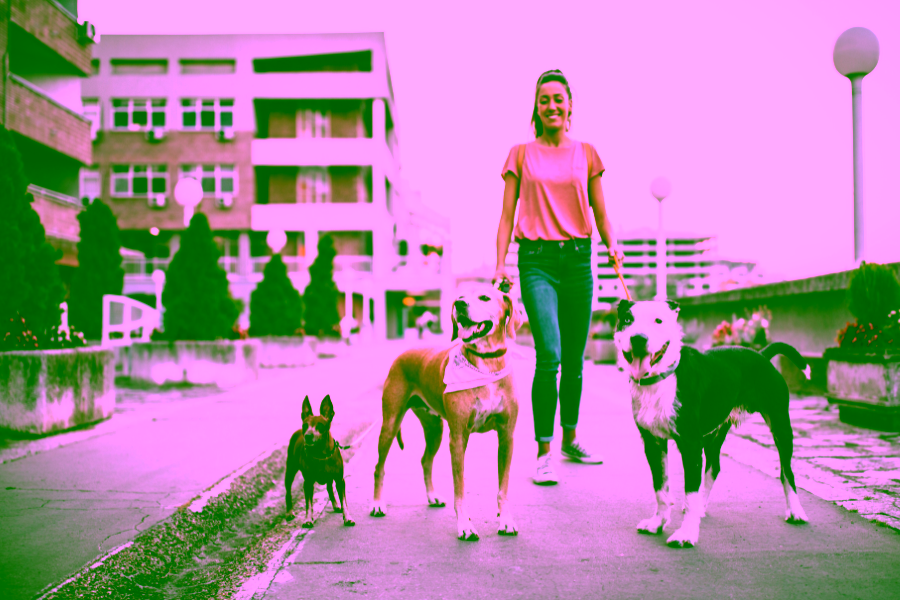 Colorado Codifies ESA Housing Protections: What HB26-1045 Means 6 Get an ESA Letter in Detroit with American Service Pets