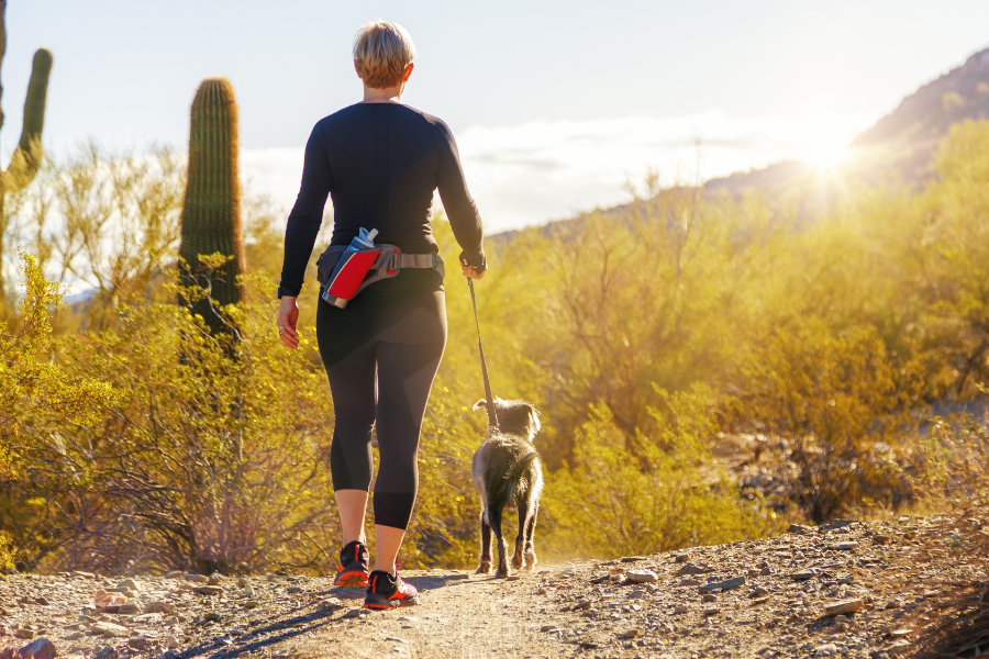 Get an ESA letter in Tucson with American Service Pets