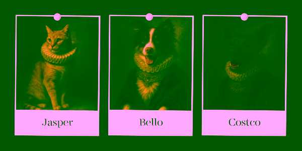 11 Best ChatGPT Pet Prompts for Pet Lovers - Regal Renaissance