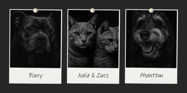 11 Best ChatGPT Pet Prompts for Pet Lovers - Shadow Portraits