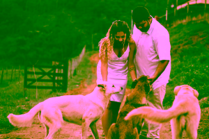 Can you have two emotional support animals?