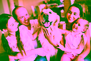 Is American Service Pets a Reputable Company?