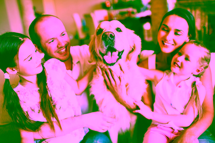 Is American Service Pets a Reputable Company?