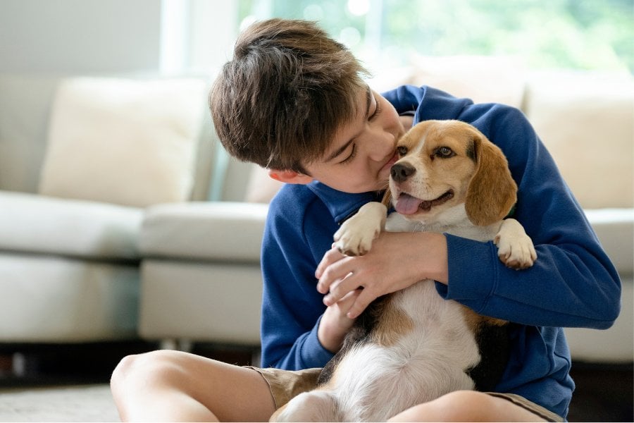 Best Place to Get an ESA Letter