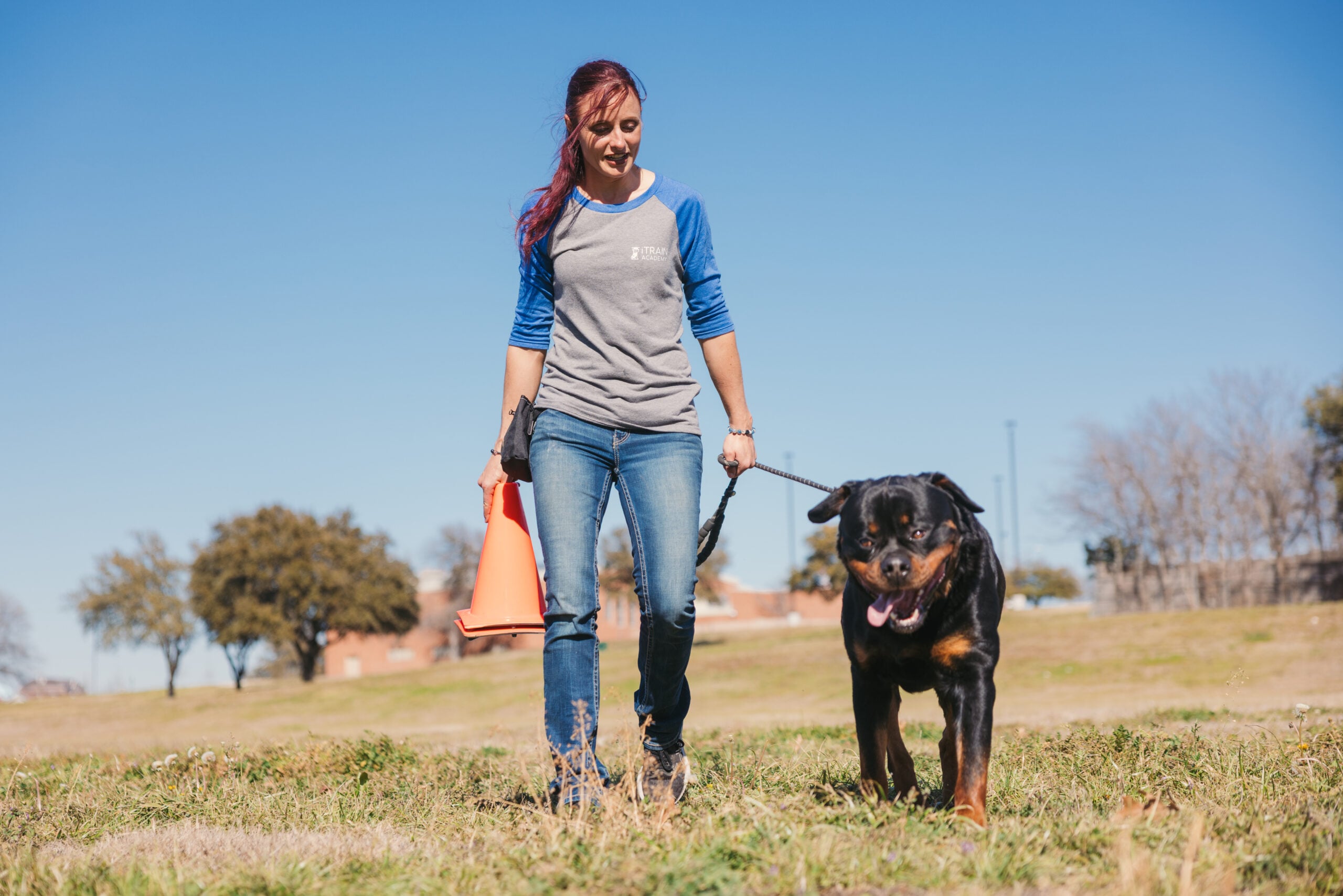 Start your iTrain Academy service dog training with Sierra Hartman!