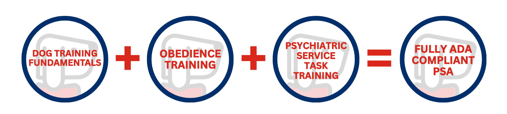 How iTrain Academy works