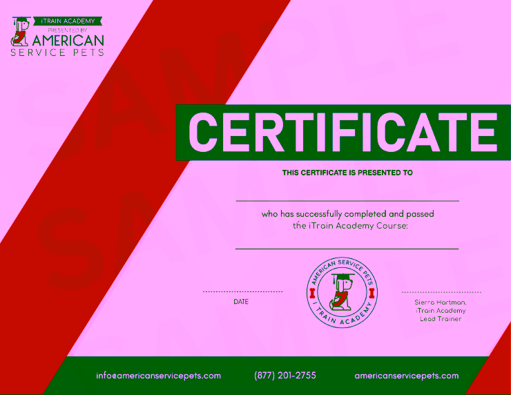 iTrain Academy Completion Certificate (Sample)