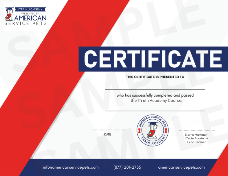 iTrain Academy Completion Certificate (Sample)