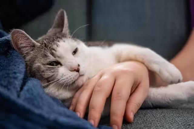 jeremy mowery YdzqRIJ6oEA unsplash 1